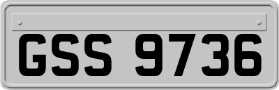 GSS9736