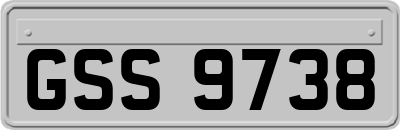 GSS9738