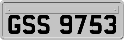GSS9753