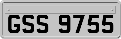 GSS9755