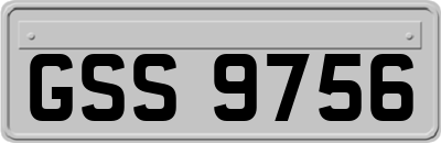 GSS9756