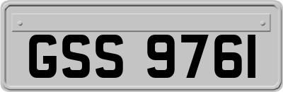 GSS9761