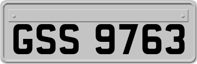 GSS9763