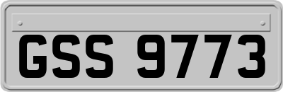 GSS9773