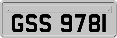 GSS9781