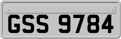 GSS9784