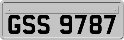 GSS9787