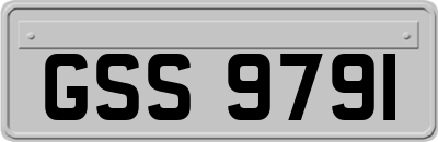 GSS9791