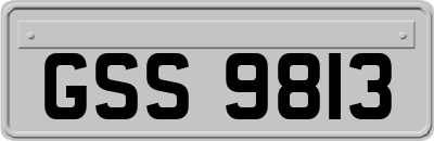 GSS9813