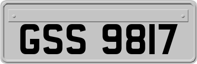 GSS9817