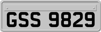 GSS9829