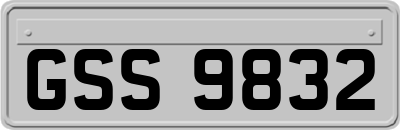 GSS9832