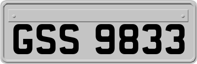 GSS9833