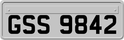GSS9842