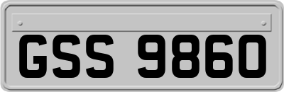 GSS9860