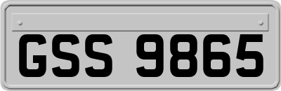 GSS9865