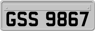 GSS9867