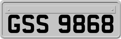 GSS9868