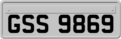 GSS9869