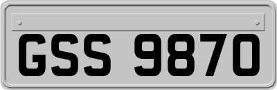 GSS9870