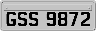 GSS9872
