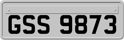 GSS9873