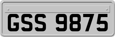 GSS9875