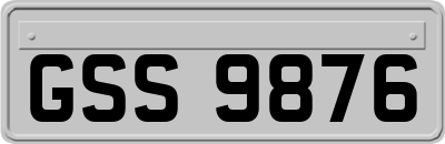 GSS9876