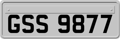GSS9877