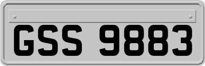 GSS9883