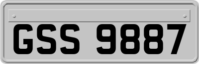 GSS9887