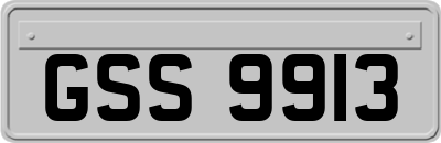 GSS9913