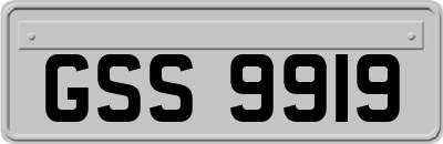 GSS9919