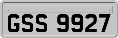 GSS9927