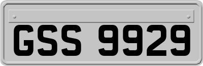 GSS9929