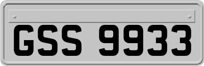 GSS9933