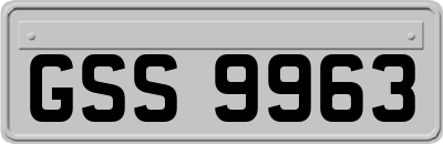 GSS9963