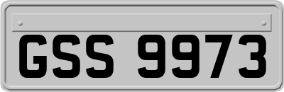 GSS9973