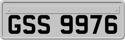 GSS9976
