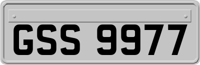 GSS9977