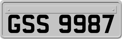 GSS9987
