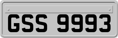 GSS9993