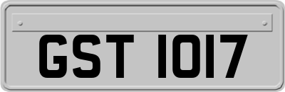 GST1017