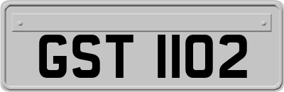 GST1102