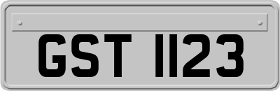 GST1123
