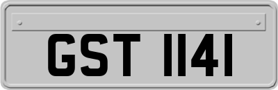 GST1141