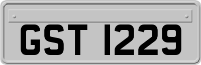 GST1229