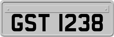 GST1238