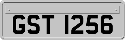 GST1256