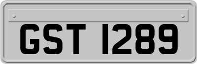 GST1289